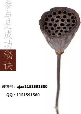 复方灵芝虫草汤参七化瘀汤