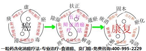 石家庄食道癌专家中医治疗食管癌的优势